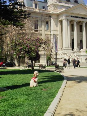 dscf0249-1.jpg?fit=500%2C375