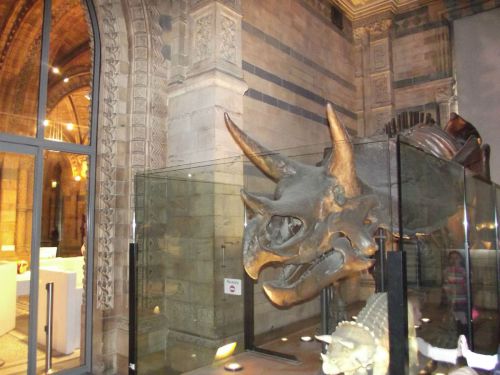 dscf1058.jpg?resize=500%2C375