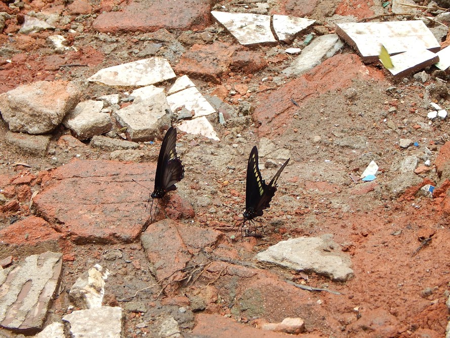 ftKRCIZ_bqa_1SsJf8wD8MskHYrx2S0nOj60fE5mV29Dkf4FDaO2p3wDooVa6JMq1o9CuVDmLp9Cy72BnD68PL8Fib_A4Pb3-WJUdHovZedG2aTkoLVh9VEs6Sy_1ELZa90Y2R1J6CvN4_L2NtUNbuVxFw2hRDJd_xqwXQdp94pMxD9L-gYcTn1skzW3gbo1thSiwqnVqi_edJwrno9QpYX10FS_v9BYet2H88Yv2X7qHdaDN7hj_SzDPmhlcDyI3Qvqjr-WaX1lsijOD6Kux3v8rDvOdn_XJ8P84PQSaUuB42GwHQaBqZsOI0kNH1_dh9BXveeOo_w0wx-WJ6kxTt-_J3ChZgEzY4-eLkL39WqG7zHgOVDDZtoUtoyYU9JaUnGSi4PcWNvVxxWp5wdfhiJTMaNpUDBSNIiI81mfcYKI6vcpzZRSPNz-07-ck3H4c2UAKRDJMeCtG8c5ZphFRrV4mrbifwF8tsxbh6JaKGqhHnivmNZLfmgt00V2JrBWbNYB2FFu7m0LAg8RsYKveoeJ2A3fmU-fSIxFPUYgdnHqvVYgiTPCIGnMpaeeuLTzHL03=w890-h667-no