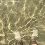 IMG_8396.jpg?resize=150%2C150