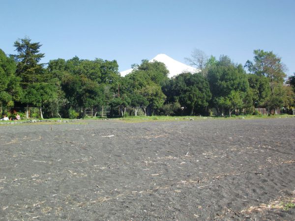 dscf0351.jpg?resize=600%2C450