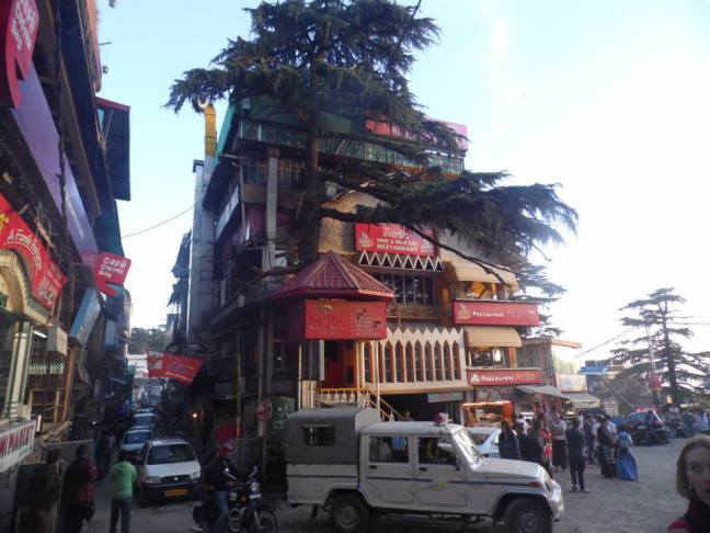 12232_341366889405928_5317722993301579957_n.jpg?w=648