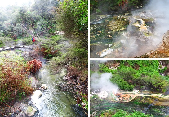 IMG_7186%25255B5%25255D.jpg?imgmax=800