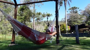 atibaia-pedra-grande-morangos-30.jpg?fit