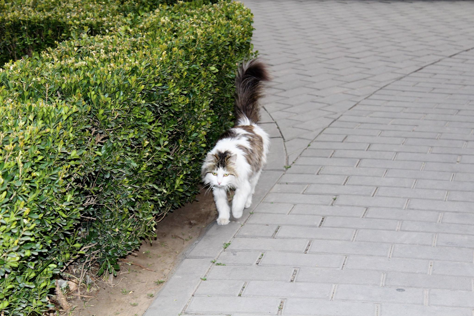 tEvX3mDX5xcIVOWqXTsaU6WBYtIYf6PV6JJ6GiqDZaggpItzrJBBl3lmQ3JcFiz3tYeg9Kmj9_BnXD3VDDCKQSeVP_NAUqwL9M7Gce35vLs97lWSXP1om9z36EhT60udBIN4yr_l