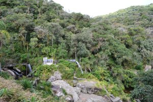 morretes-curitiba-parana-trem-8.jpg?fit=