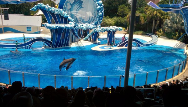 IMG_20150723_133510.jpg?resize=600%2C342