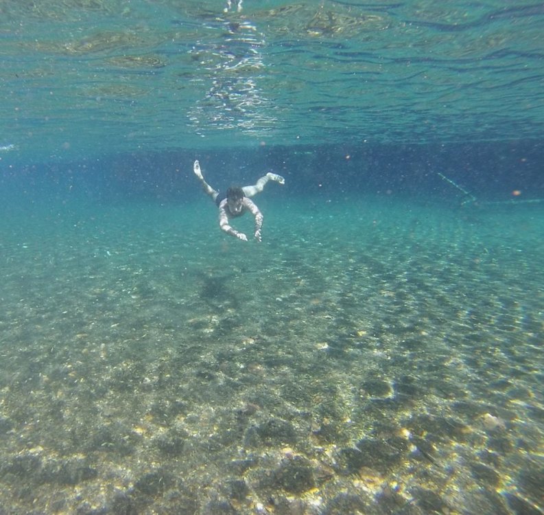 32845217_10204715600286519_1307442505087