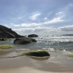 IMG_8385.jpg?resize=150%2C150