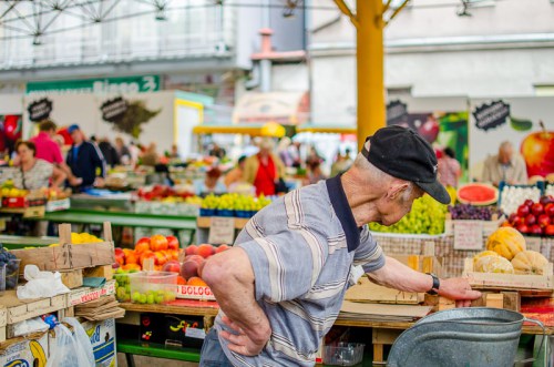 20150818-DSC_3161.jpg?resize=500%2C331