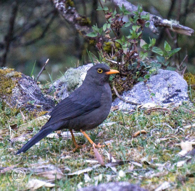 DSC03223.jpg?resize=640%2C628