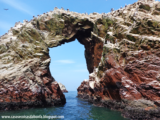 DSC07484%25255B2%25255D.png?imgmax=800