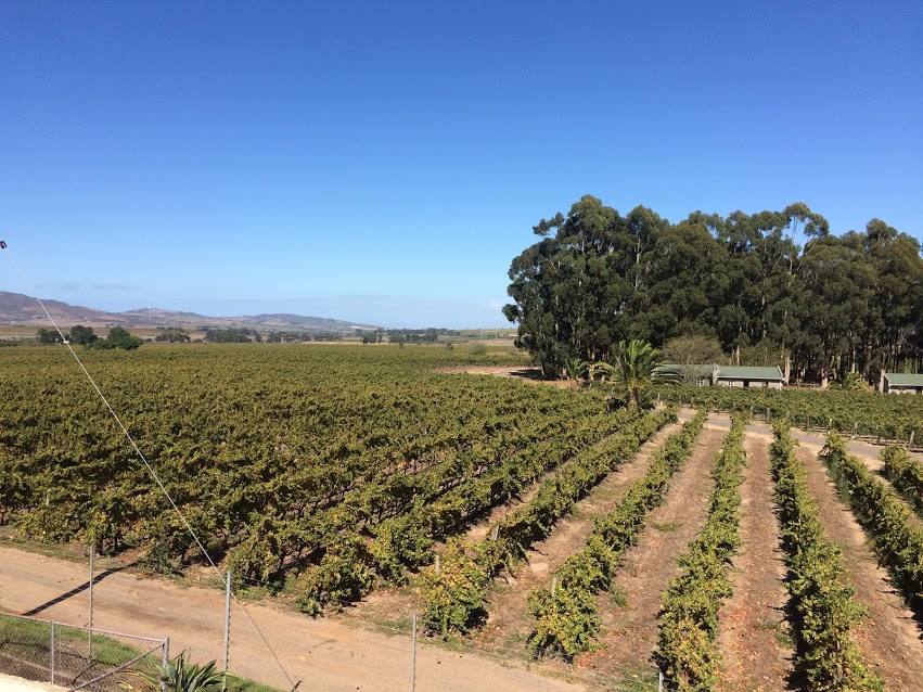 17760002_10211762866683691_1542879358427883220_n.jpg?oh=8bd705474ce06c090d41680b49868bcb&oe=59988F79