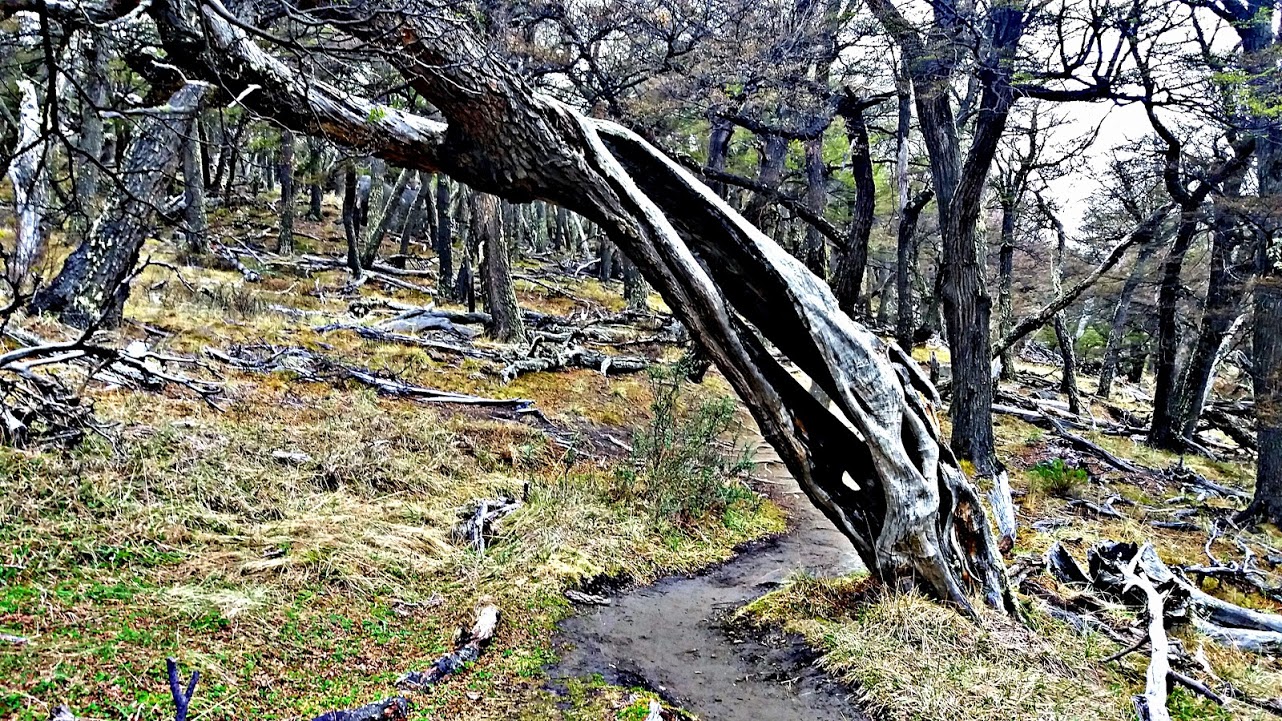 katXi7halt68AUeQ3faAZfckUksOuCzyF69XL74uMC5QWbbzWFMWOaJXmywbxDAygACM0bGxv1RdTAb38wc-FhIIZYdqmiyZ4fxGiTVrIaC9gjUkqZvNCp8Z92qBrDS-ht7oepMYKFbJ2yxEJW3RkBFUjAKsHpIza6ZNYFW2iDXMA91zyjvfmt4gRuUpLbn4YRODAnK5RLvfTU0mOpzvxPR3omm9g7flZWuhRIcZEQgRTdjJVlN09tyvB6u1zK-JM9691G6MeUtJ_MtWZKOXGBF6YSwZzpUBhHNWd-AP9-1mj7i0R1qMJHh4TqfmxhGFEENtJAG-kLC6lV7pOUTzJyrTt3N-z4wU6GBOmLy7cDE8XuxLYrVI8CETTKZZdHL7_eLdY-TRKe4Kg-ZY2Kwxs8Bjoah0SNN5MPxuH89Vki56zzWjSdt4oB_FP_Hr_t2tRTJ6q1UVTyazvGhOo_SzTET857MrVl9us9gzupRg8GGherBpNJgg5qfEl0mB3bQ9EfzA-O6ADEqVuYO_yNlEq9M-PBdPmstTz3zm9geZNGJFH6Gx1uE1BJC_ys6q98ZmwXBKb4iqUgqWqDF3YIzDuOuYUcOa7ftoMZ4IQx-rp4X-ney7PBe6eA=w1282-h721-no