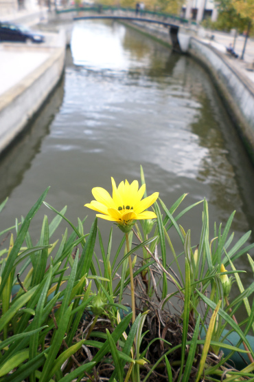 sam_1163.jpg?w=370&h=&crop=1