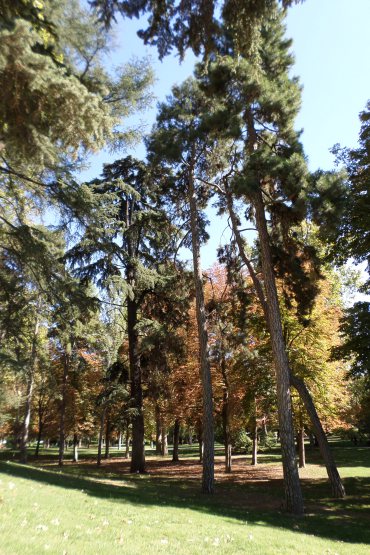 sam_0493.jpg?w=370&h=&crop=1