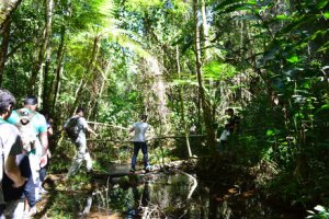 Fazenda Vitória São Luiz do Paraitinga Turismo Ecológico Camping Tirolesa Rapel Cachoeira