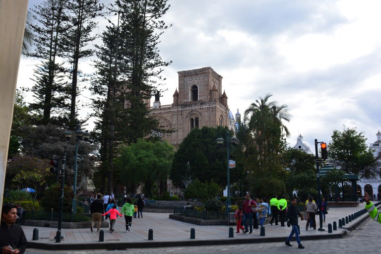 DSC_0379.jpg?resize=768%2C512