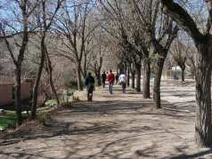 dscn0904.jpg?w=238&h=178