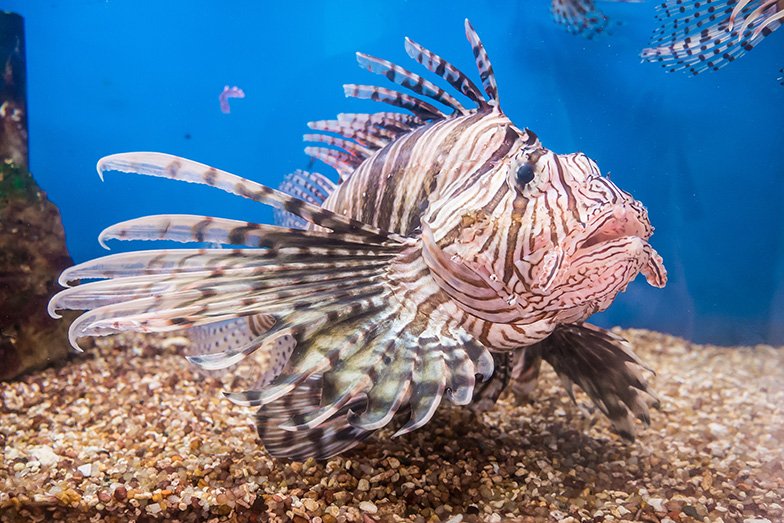 Dia+67+-+Nha+Trang+005+%252812-11-2017%2