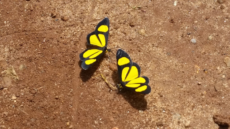 AemR4TK_7ILbMW8umNTs9Budw1zX7CK1sGt4oNXWDLfe2r3GfXZ0mhu6PlhkBOvzz2mMLryqVC1Z1_LjyhtHAxRKNfSdhLdvLOBMhSS3R69K3qFXskpKCtiL8YtSjVPyRZ5YemA72wKWI83J0tD0BSh3MTO6ccSgRSw_Cm5R6fU97OAa25fxXNq_TN2GHKU_fffwmvph3-0phZinzbUa8R0q9KmjFCCOFf0bg81C5K7pCbUf5rw1Qz07z3nEhW4Z5Wj6NKvrquD2I7dNNN7Bwm52w3fX5-t6ylk9Ktt9YU3Juy_4OGfsZZ1FzLHZH6z0f-whCtj6s4Me3mgn7PX3Db70IFazlgqEIZf4y5vOrNolSazRAt9UDSL655_MsdZDbbkr_FIOkM7SPO2lDIe50EANNasn_eK_Z_eD_WZbLwPOY-BHBC7kEI7aIH_FcE0KFEfgwr2WgCUvED23r80AYJfBbs17bbzXmXSpy-DP3PsDGBBh7HNPsDrGQq4v7-kskFQ6132p4YvBjuIYoWb1wAugeDByxzbWFrAFx2J357fEx8OWL1YE1pa36bJcb2fZH6EbXJ8xB-qZGEZ380Hk_4HVN-2Z-InpdZwNnsGGEdRHWGJ8qq8m=w800-h600-no