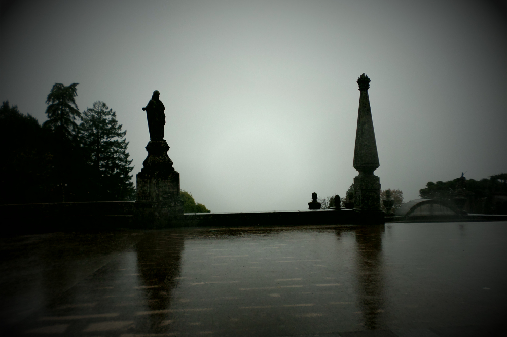 sam_1071.jpg?w=1000&h=&crop=1