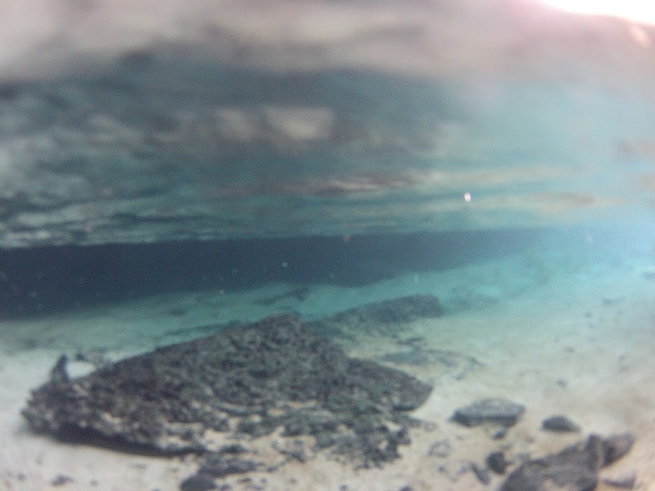 S8b-b59ZzB0qJw05YS85VKbFt3m5yeq_dkSLuJgP