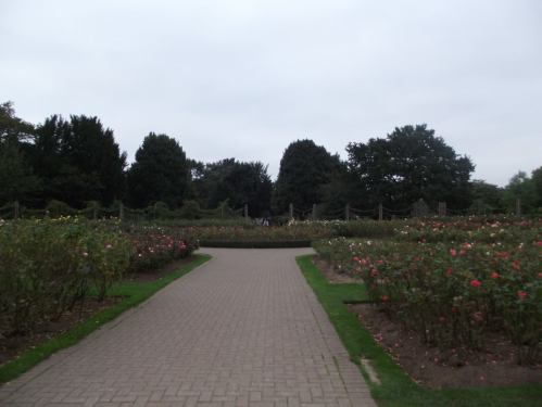 1277936_731334433549332_403587963_o.jpg?w=500