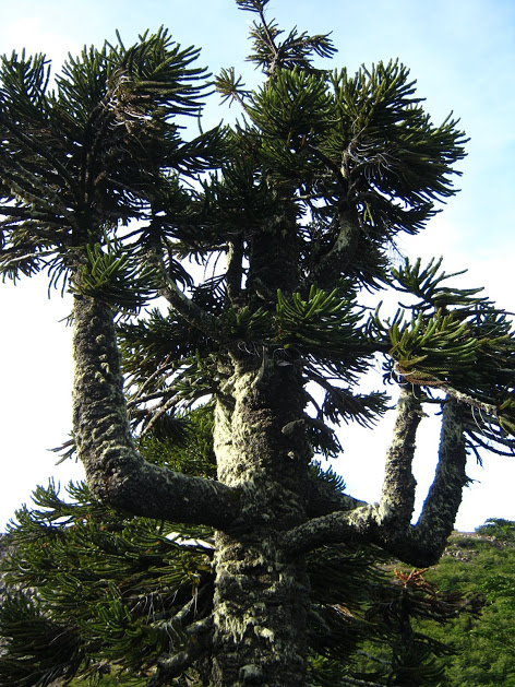 MgBBBT-BqTzMIT60oDMIuQWP78jVziEPHKxSnqbuG2O9EYPP0d1Z1arrArgYVEPjTunasCYZAuRvxVbenEaSsKdhLB9QTHCdK7cGMbn615NV7YR3H5tjaYSbncVTz6nMvABwIYQ7tYohjdaNJ6nOU3oLvn53wLqDHUg6pP_wM21ioML7fWbQ-d36oXmOVX_cig3Z-m1xvCOKDHNF0VyAxYjpxS6VBxynnJ9SOnQWqWgh6eCJwRhnWozZM09sQrHk_lxHmBCrF3PaF0_S2ppE5BJrydrf5k6hwgvgp3mOZ0shoxRWxzNQo-1TIg1Ww3LYRd3LfYTj_GYa_DVC0GGMGfU7xggGcaFY4u-DcyNG53iT5BwhnbWwXWn2RW6YuZLvmEh4-27c0n3cmG1mw8gaoNfVqvnxerIcU7qUCh0YCxdGBDFGUUQkbBH28YUMvnt7aQVUz7R2SotT2L7v60wvMC82WvKnKOR9pNptxBqs0FRppNQMShIWsOGfQihJ_DKqbv_CUzu54Viyi6FMY8PFNs3drf2IBD4-PnLHEFl-vK8b3jLZgIu_wsgCLFPMVvFMfcCdrXOYK9OQjZR3ETGwfNIjMofjmMPUParcnohb=w472-h629-no