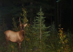 img_21811.jpg?w=252&h=179