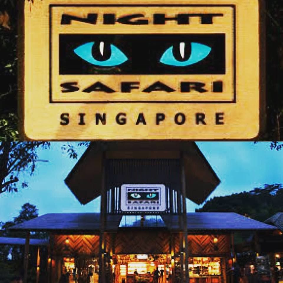 31_online?async&rand=0.7549890884771413