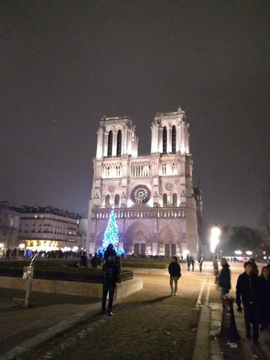 notre-dame%2Bde%2Bparis78.jpg