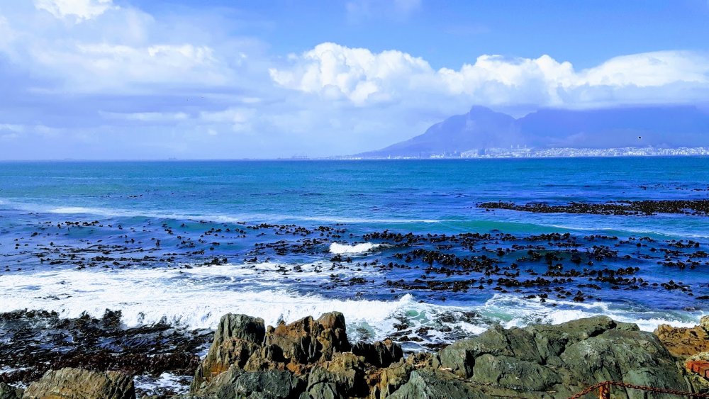 f77fQo14xdXPit9FhiVMP7OhZGuhyCKa-AYIP8TTIsylaSCuCFBwlD83wFbsa3o8un8Jw-qDKD9xZO-Zir2_We7GtJOrb9M11cyrTEuYEdPJInR5g6CMkmyvnmL2HHbigeb9TScRIPkfcdGx8XBLj6MP0zfnnWMV-XF6bawrEm_TNlD3QBpegd0T8D6sh2MlGkFnxYZSp8aXICUDkpratQ5skHm2hYgs2jmsLe5pJEFwQ8XBoarY9__eBmQgTzTf1-C8Sl0xcsn3g-XtCQTvpo1JIxw0GQIPVy1Dn6r1uGKjHj11UkGEb7_bieT2pDzvsZH-bnrMEWNePXqcglX5lEdp9dBHcrQ0YwyLUZf1Oc73cKxqMMvBozraCEyNCISOFBVviOaFIPFIJgCCTwAFMg4hZFZREnQJRcV4fodnkxpukVNCqatAE_6krIeUoBEsa64bPiFXnfGOJ6jiFhoRAFFW81wNL-p7xV07txtU_J8y7ZXgDhHbD7eR4DXw60fri1SPhB8Dc25uRdHkqVYGyYdji2cxtw8sGUabmK0rhdWKyc4PNxkM9mvVJH78lXQvf3X04VIBNCNwFl3O0ppxoFGpzIBX5M3Fh624vNFr1Xf8qwchDmb80RHHoTST9A60eawgerWkSxmZe5zQpPEmBPDnvXkVKet6Pfry8frcCBXGww=w1686-h948-no