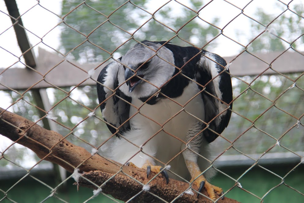 FQ75uPuoBL1tate0s4u4S_YdVC5q4C9FOrkmL3JC9F84z3HFqSEZrj-k_gD2l6L92GMjrX55E0OTwGNw6LiUWRqf6QYpkmETqHQHVW8gGgg7rDwDpENGv6OC8jh1ZP8j1uU09cfriahWlkdUHXDBtOc9J3T6EpRkOmYOLZFhTJC2W4Xy89p8lb-K21Ji6tmbVWbPE-5e0op5_B3-PE2078gL9RADiKZixQN-eT56uxiDbk69fG9CmclJpHPgu84VhAXZwP056gFZ9vT2IRrIKVL6l6HaFacn0Ipmuv0DxlyakgXS0MdZ2dD9LJnk_gy3chAKl1C0ufIhG3vH5zx8G4Cdllqjx8fgi2ksPAh959pqlowlAuSDXoteFGVdgw2fQF6d2TqGV0gSvx2ixBfoBbqEVOQI-WBDyK7gumnPaK_p91f_H7B1O1Zz9tfXLBZ_L94JpxFObnb-MtK3MqjujZyIclTe6YTPd9ueeWli5uGXZJB4T0GVfmpbMiumVQ_D6Tfwt17MCsQJfI1qhF9Yija79KUpkNgnMAUtl8p7IFiV1q6AgtZPO70oW8ZeUlXKa6fNpMrOKKqLCaNsvyHEEaAqclTOwu8uxfbGciqUZ2SP31T3Gwhr3mMscxFUct2hK4bLei2H_NFvdeWwkNao303GJWu-iwMULWG6YNG3Q1HmRw=w994-h662-no