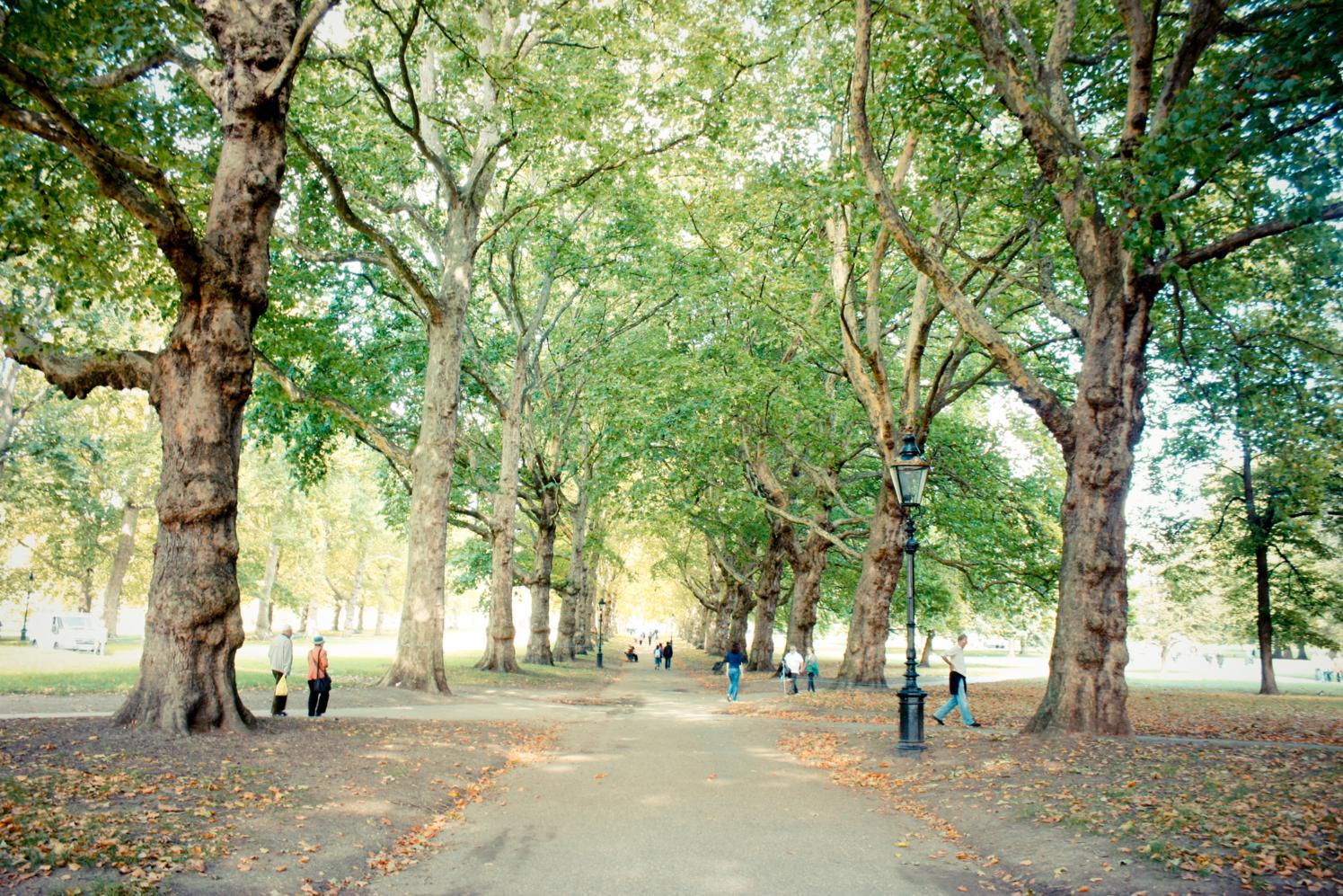 Londres+19-09-2011+024+Green+Park-2.jpg
