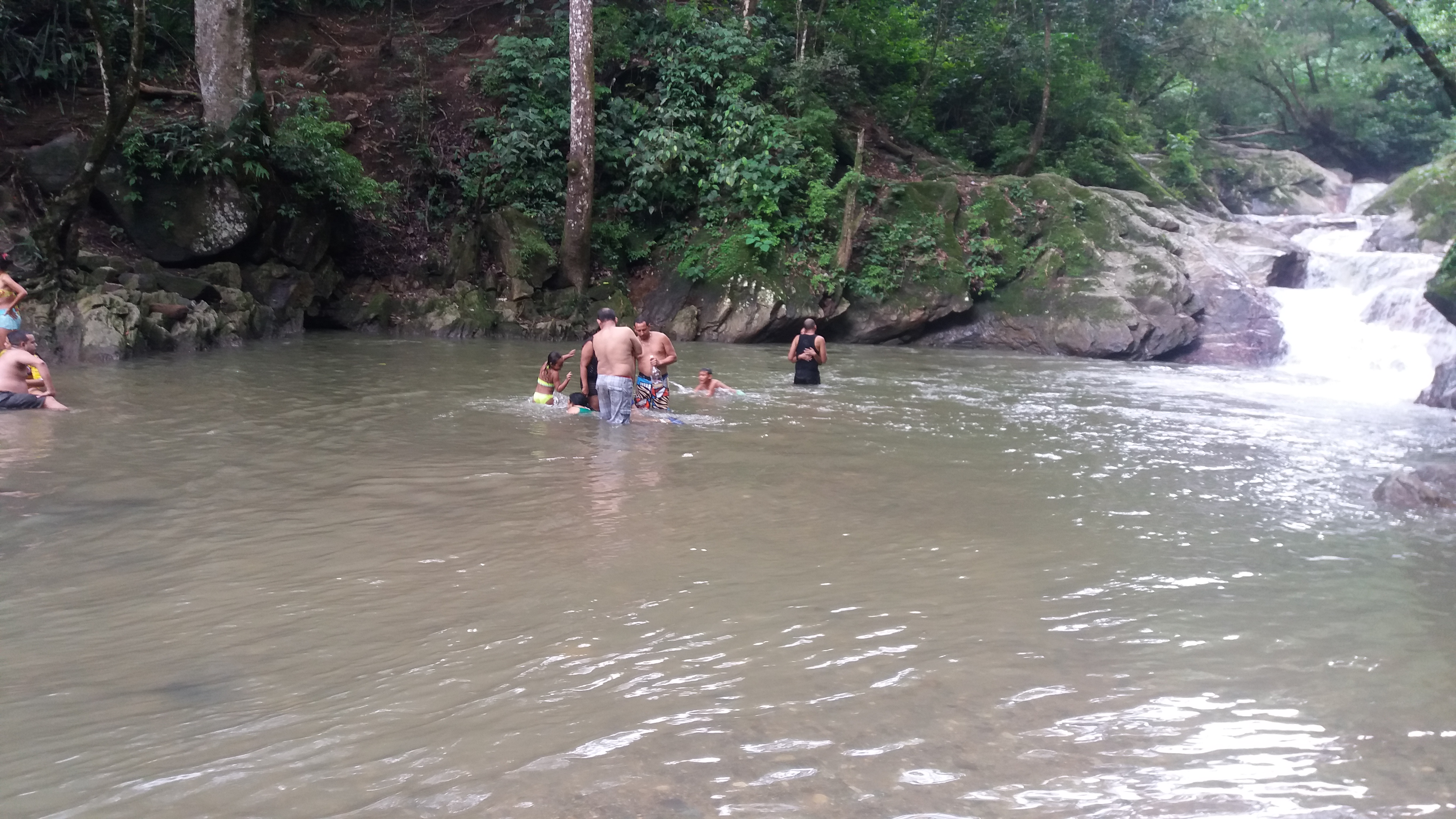 4bd889_3aada0bd806d492a9359b20837774992~