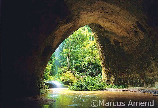 Presidente%20Figueiredo%202%20-%20Caverna%20Ref%C3%BAgio%20do%20Maroaga%203.jpg