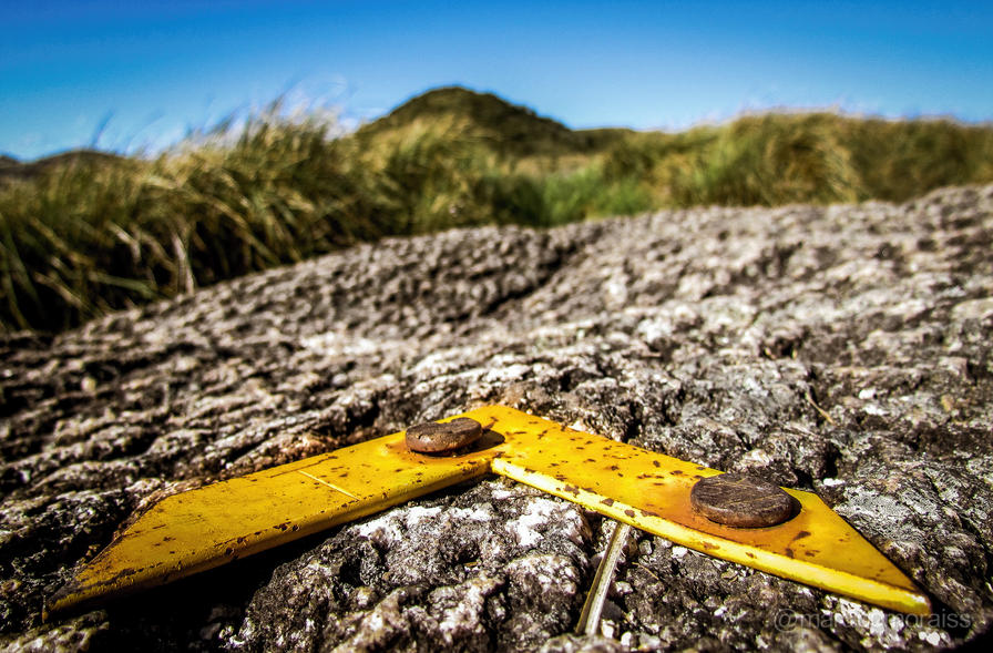 f2f2e3_d2007d7d0cd54d4784a7add86c9f4d4d~