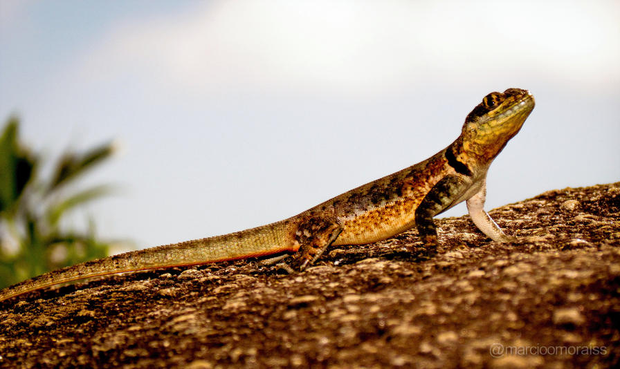 f2f2e3_ed28dff9a6844d4388628c55f90df972~