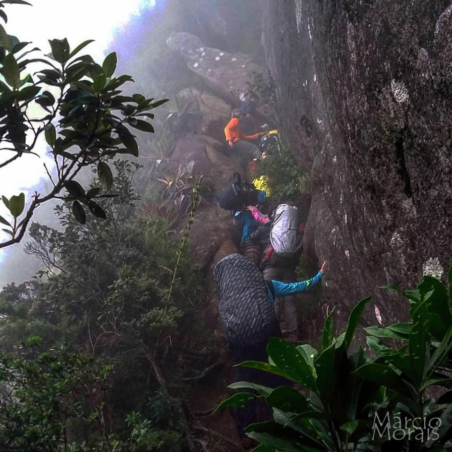 f2f2e3_f0a1a48c2e0d48ca9d32376a37f52976~