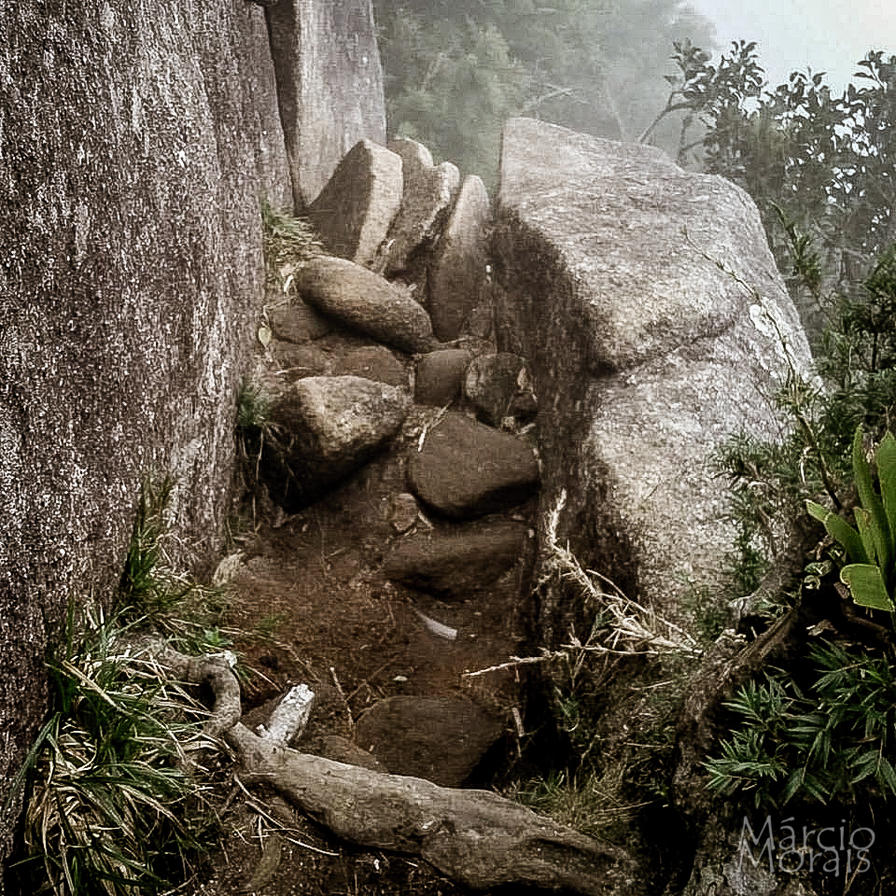 f2f2e3_4780ae0055ac488ea7643d3b19abcad9~