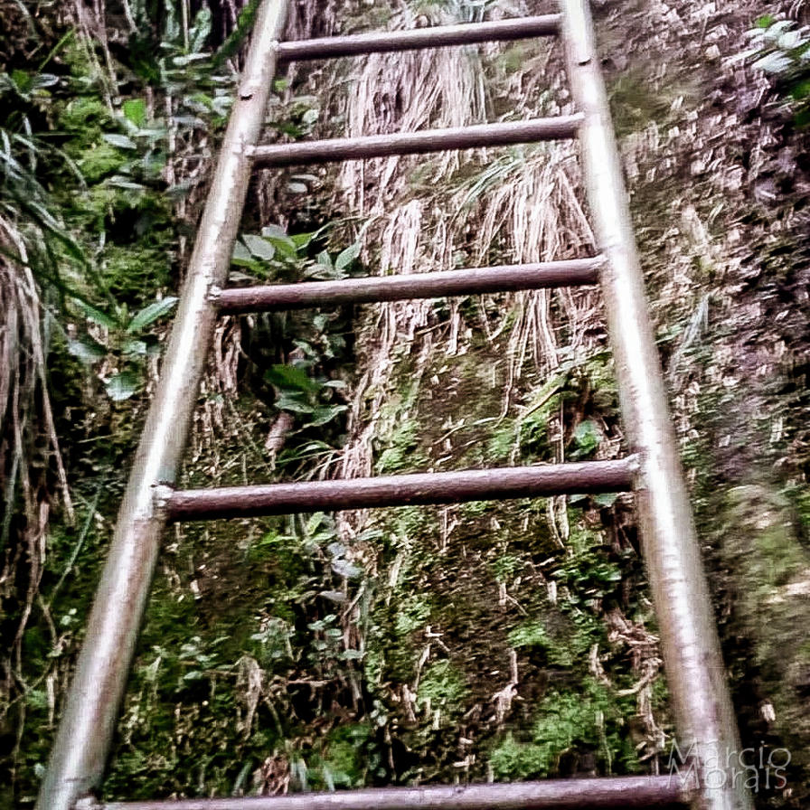 f2f2e3_9923c26a5c304de89ccedbf9301af453~