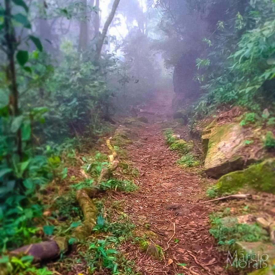 f2f2e3_1a362a1835a64bb3b62543f480aba442~