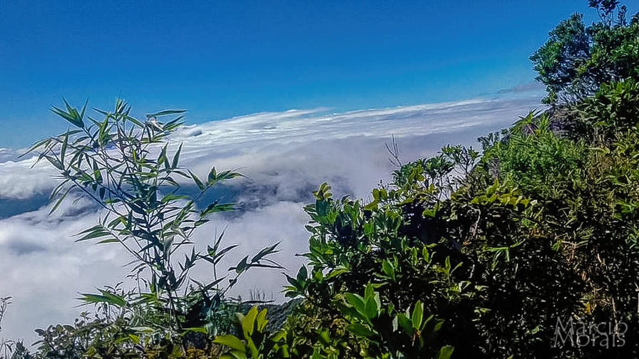 f2f2e3_76d3b06605574ccbb1faa5a24faa2952~