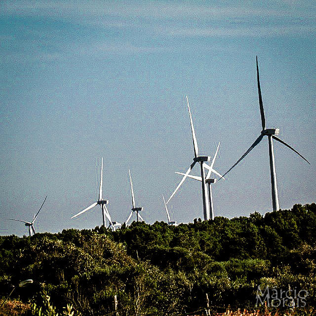 f2f2e3_15020f1b0085412bad992dceeab191ca~