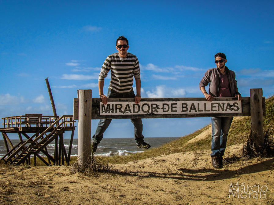 f2f2e3_d0abe3eaa2b8416c964de1092e49c89c~