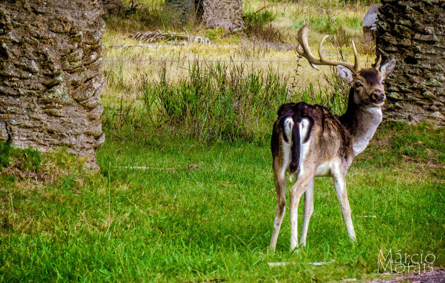 f2f2e3_c39e294dd5b34b4bac28b8b673a2a6f3~