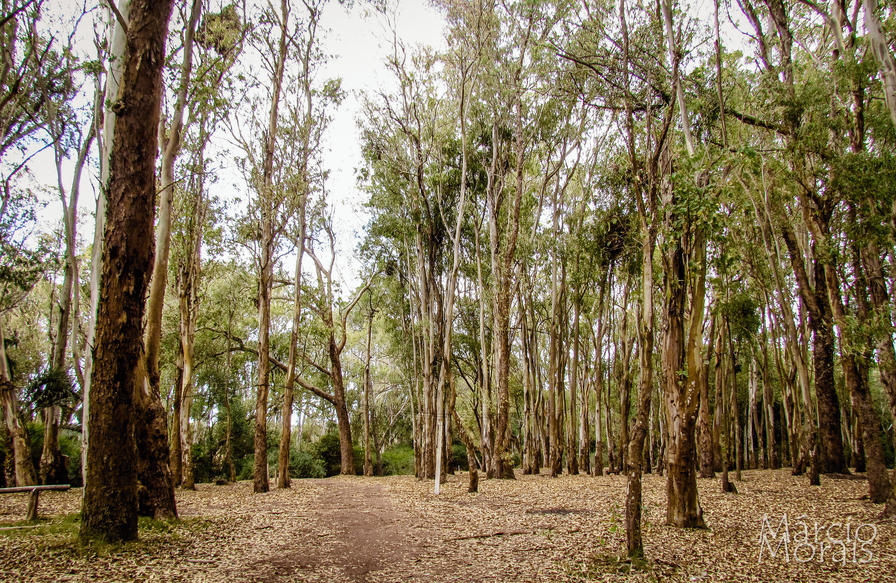 f2f2e3_6c16a0f0f90043348e15c203d7cd7d45~