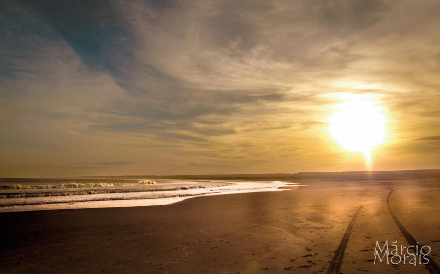 f2f2e3_b8bf5cf2b8174219ae07069b2fa5e821~