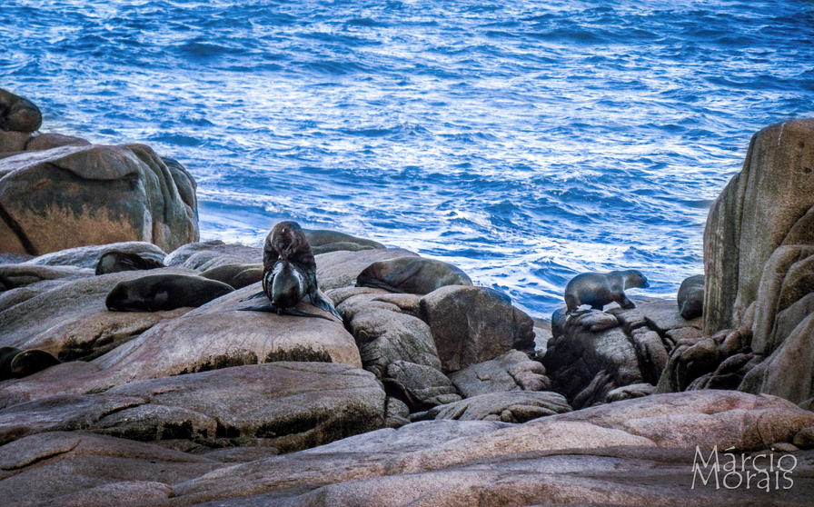 f2f2e3_13ea85ac51fa4803af4516682226603e~